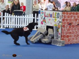 Haustiermesse am 1.03.2026